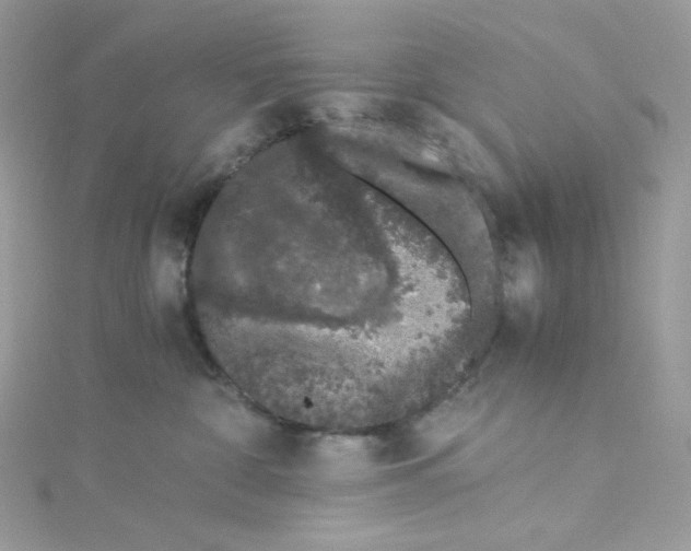 X0000114660332200911171116