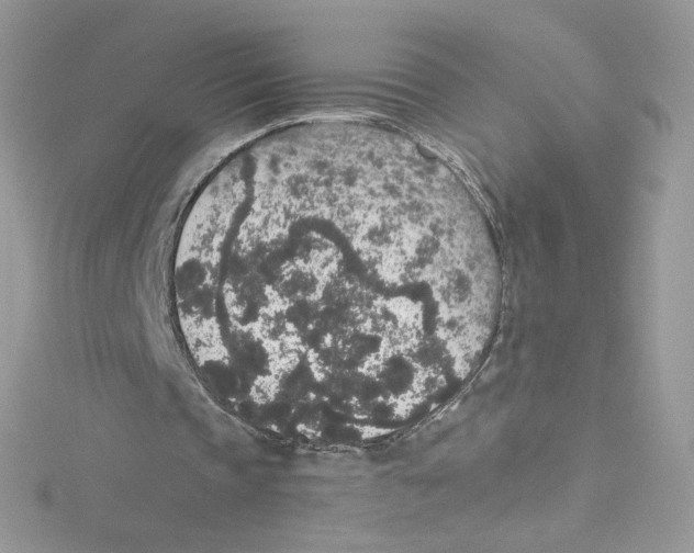 X0000114660337200911171115