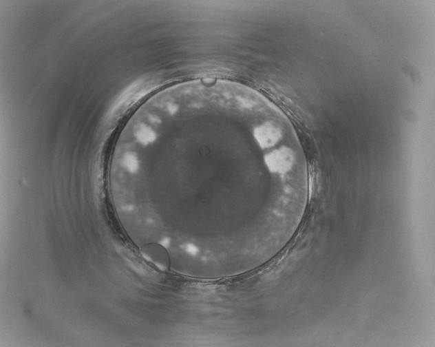 X0000114660339200911171115