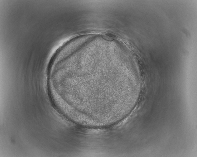 X0000114660342200911171115