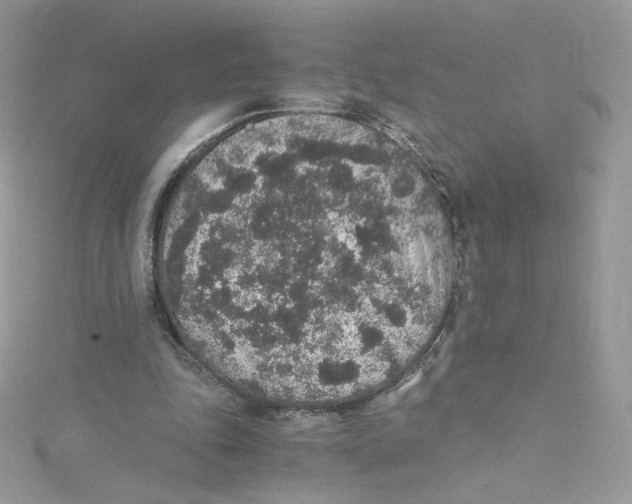 X0000114660343200911171115