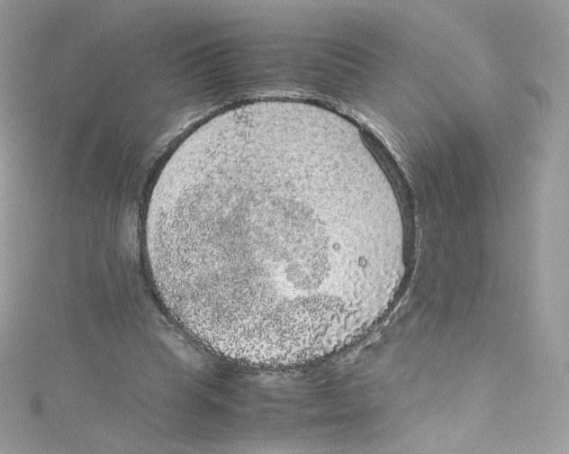 X0000114660345200911171115