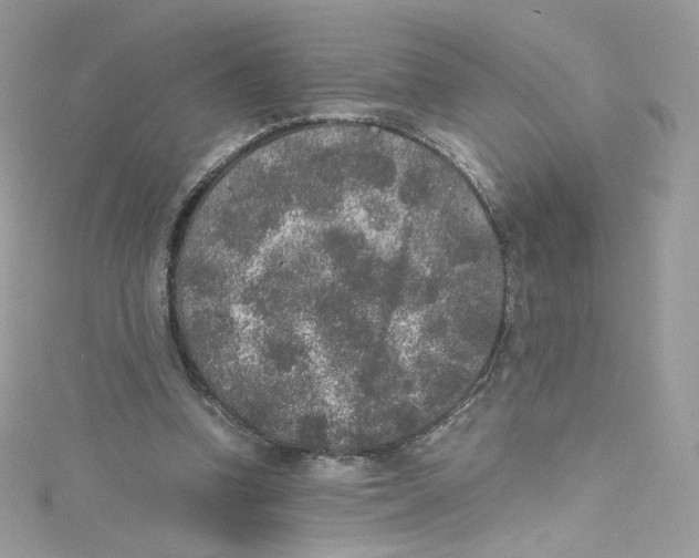 X0000114660346200911171115