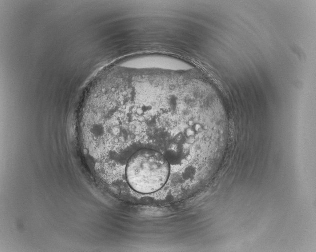 X0000114660347200911171115