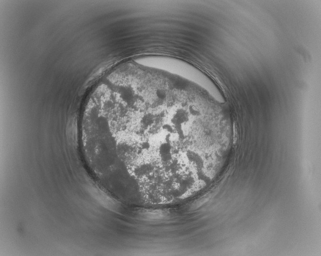 X0000114660349200911171115