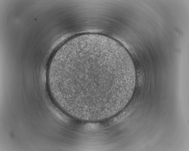 X0000114660350200911171115