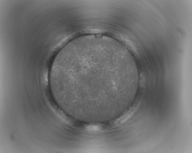 X0000114660358200911171115