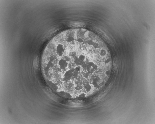 X0000114660359200911171115