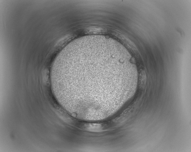 X0000114660361200911171115