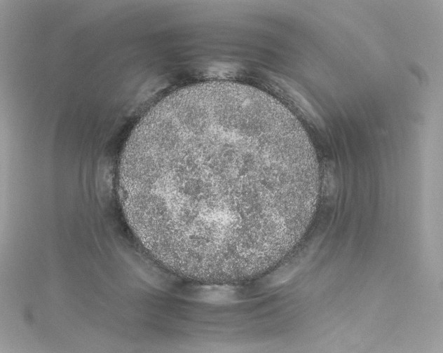 X0000114660363200911171115