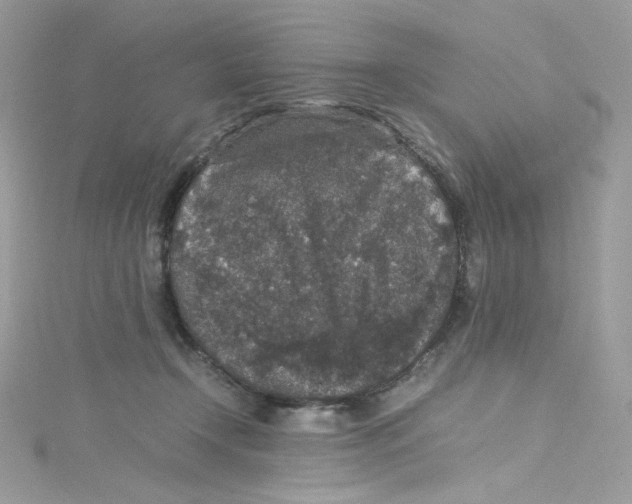 X0000114660366200911171115