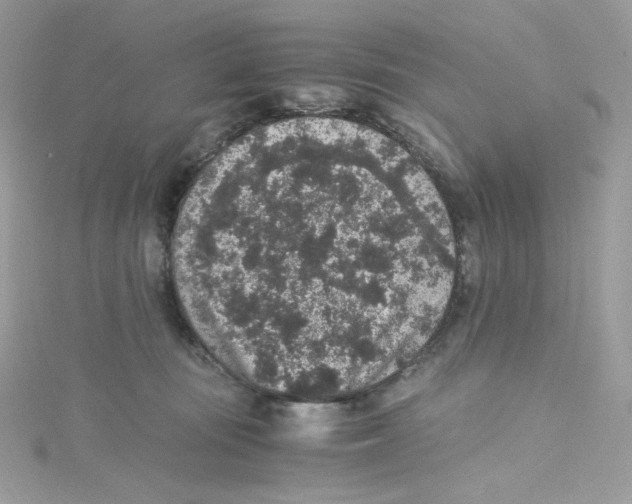 X0000114660371200911171115