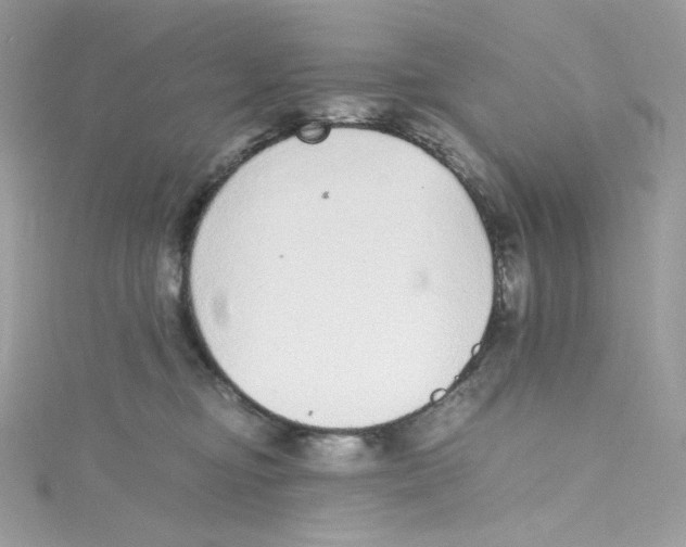 X0000114660374200911171115