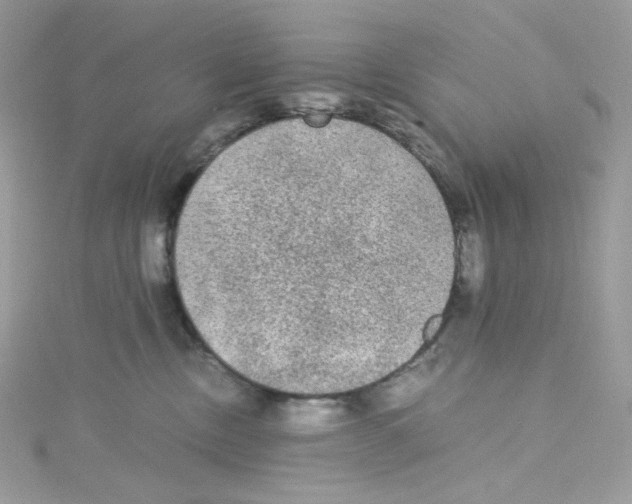 X0000114660378200911171115