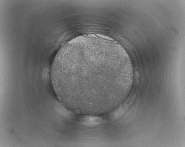 X0000114660379200911171115