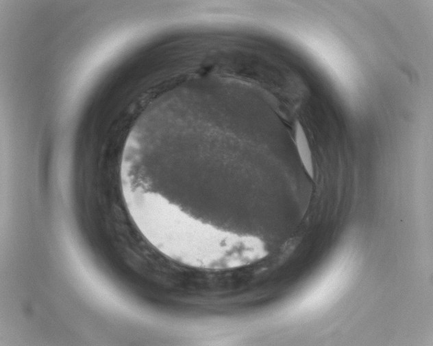 X0000114660383200911171115