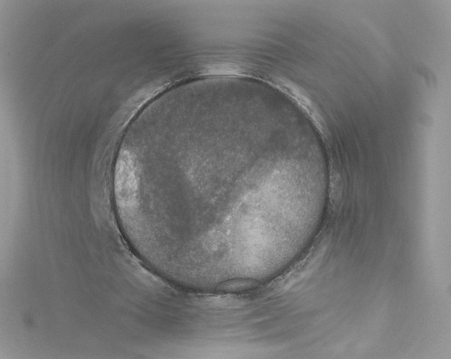 X0000114660385200911171115