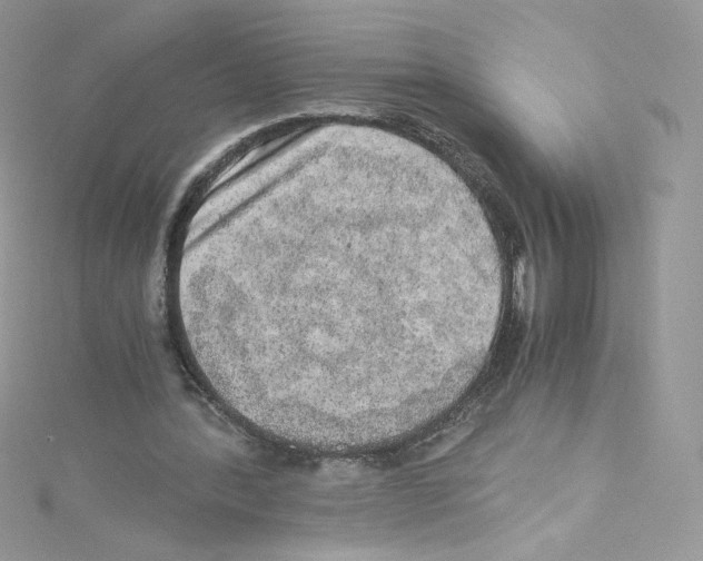 X0000114660388200911171115