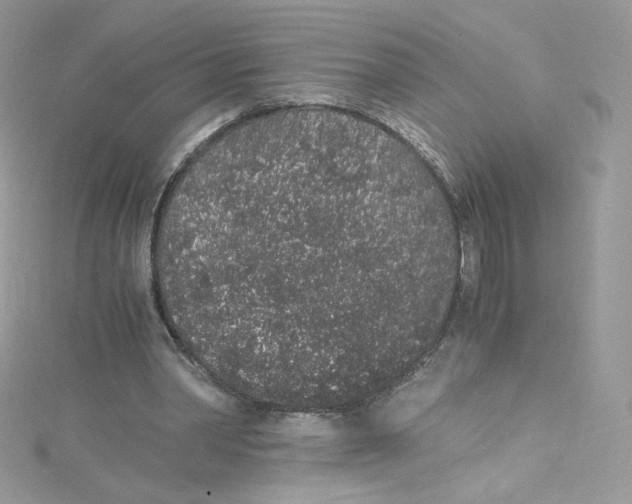 X0000114660390200911171115