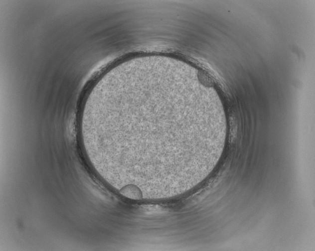 X0000114660392200911171115