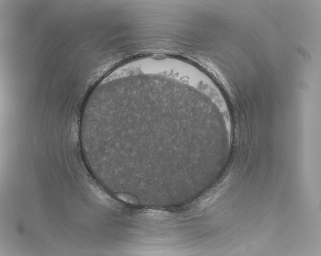 X0000114660393200911171115