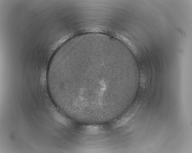 X0000114660394200911171115