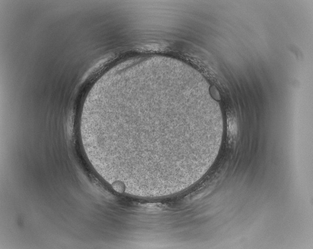 X0000114660396200911171115