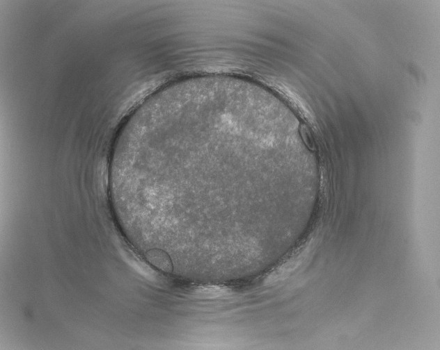 X0000114660397200911171115