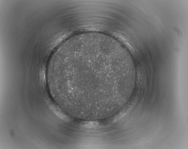 X0000114660398200911171115