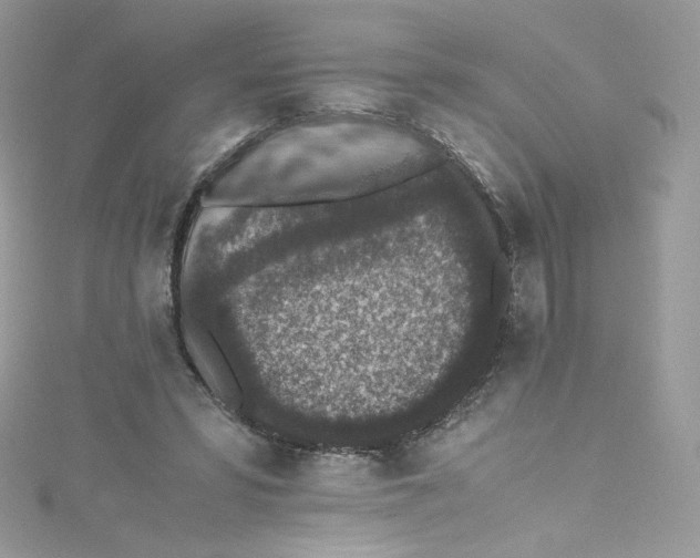 X0000114660399200911171115