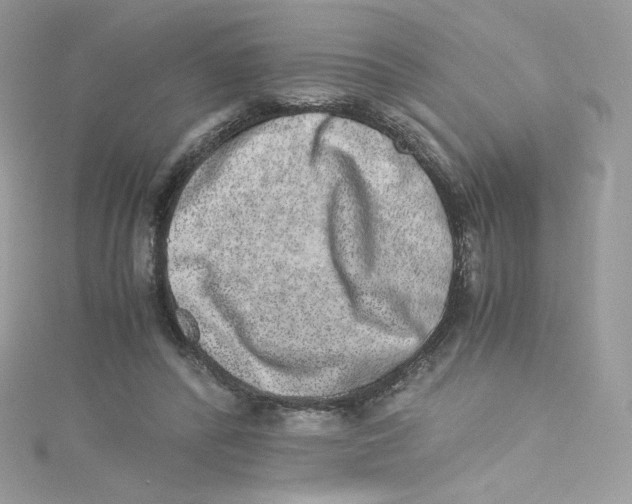 X0000114660400200911171115