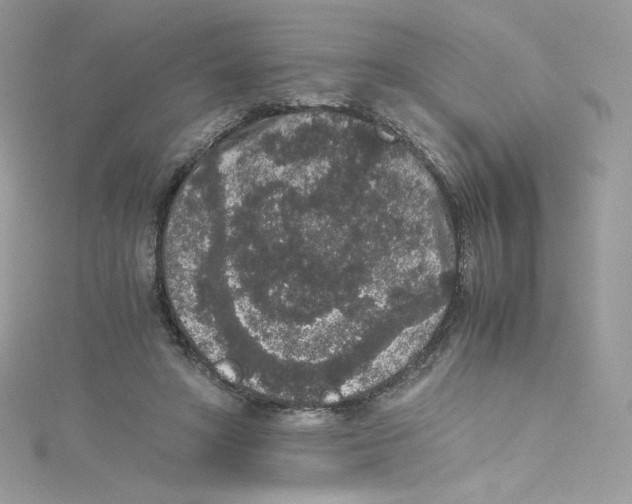 X0000114660402200911171115