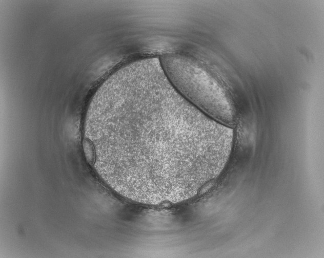 X0000114660403200911171115