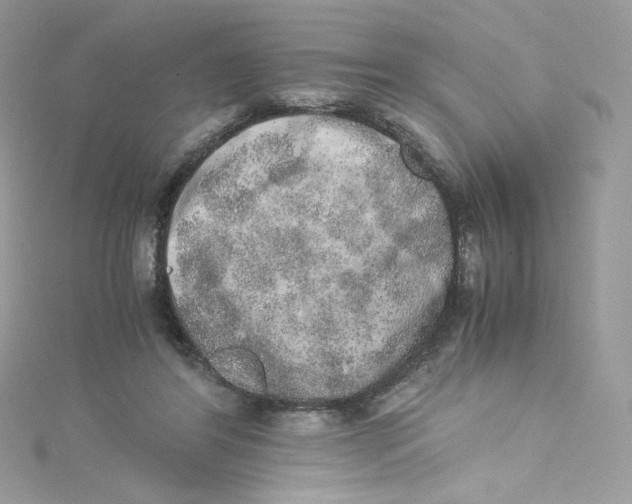 X0000114660404200911171115