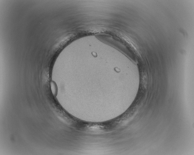 X0000114660407200911171115