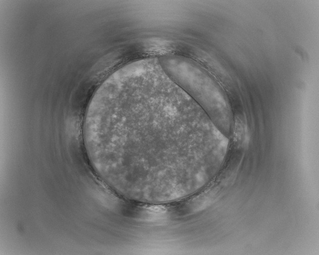 X0000114660409200911171115