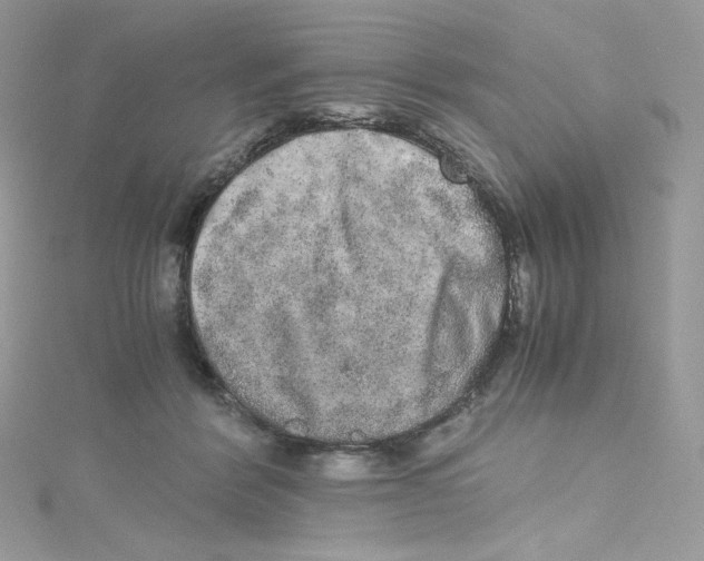 X0000114660412200911171115