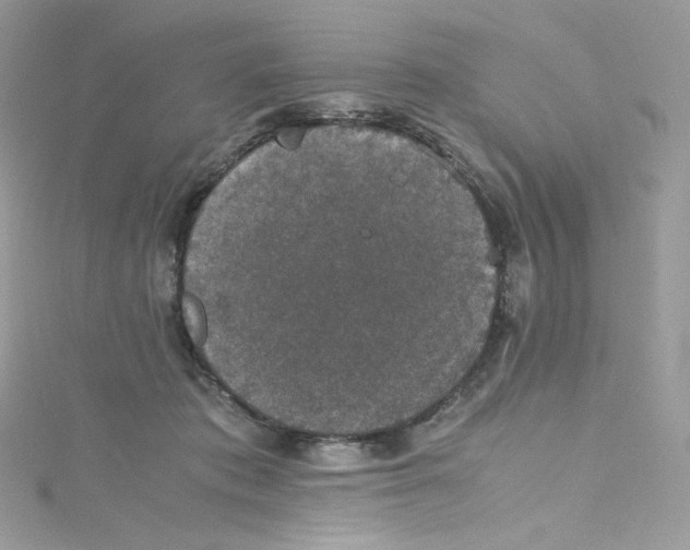 X0000114660413200911171114