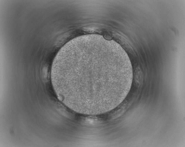 X0000114660420200911171114