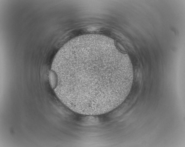 X0000114660421200911171114