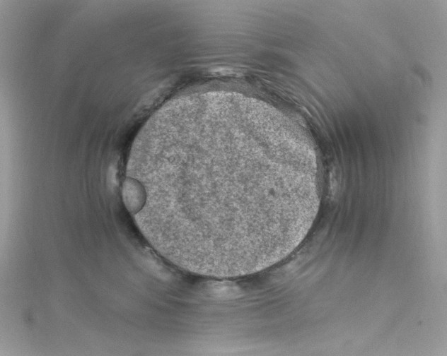 X0000114660424200911171114