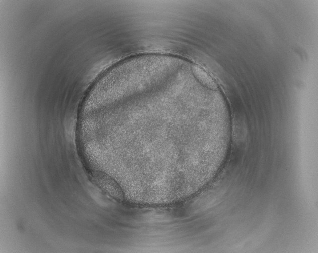 X0000114660434200911171114