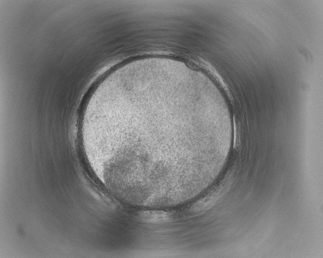 X0000114660435200911171114