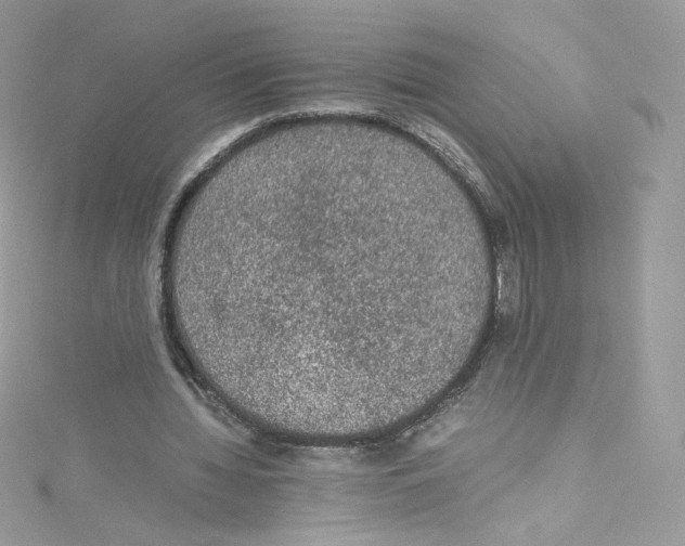 X0000114660436200911171114