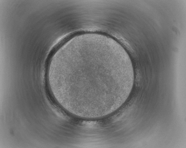 X0000114660440200911171114