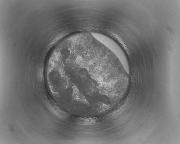 X0000114660443200911171114