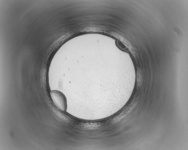 X0000114660445200911171114