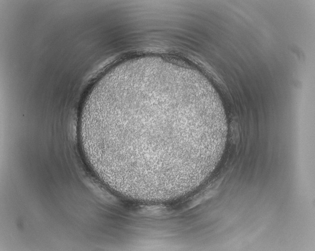 X0000114660446200911171114