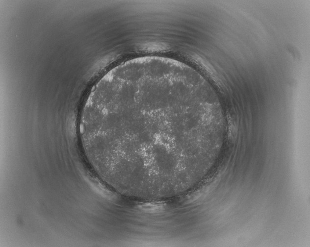 X0000114660447200911171114