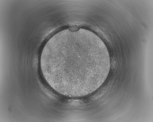 X0000114660448200911171114